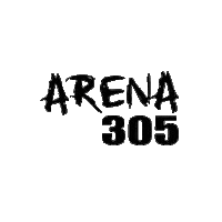 arena305malmo arena305 arena ballong arena celebrate Sticker