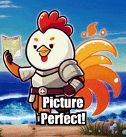 Picture Perfect Travel GIF by Zorooster