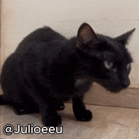 Fun Eww GIF