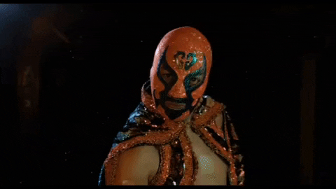 Vamos Lucha Libre GIF by Guerrero Maya