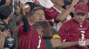 Arizona Cardinals Football GIF by NFL