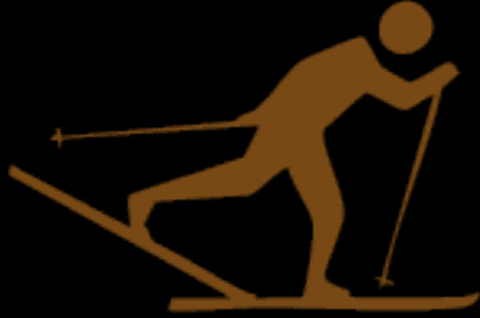 Winter Skiing GIF by TeamAMPL