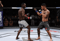 fight GIF by EA SPORTS UFC