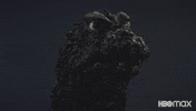 What The Hell Lol GIF by Max
