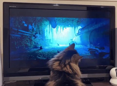 timoff91 giphyupload GIF