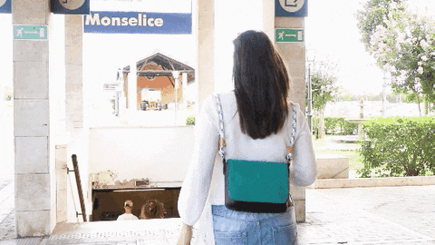 evolutionsmartbag giphyupload GIF
