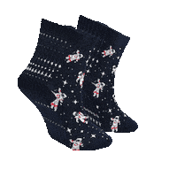 RoiSocks socks sock uzay uzaylı Sticker