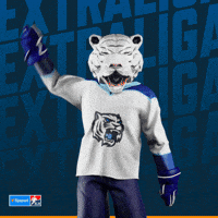 Hockey Hokej GIF by Tipsport extraliga