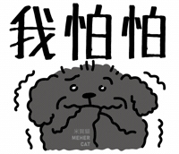 Scared Goldendoodle GIF