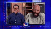 Stephen Colbert GIF by The Late Show With Stephen Colbert