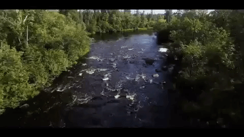 twin cities minnesota GIF