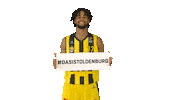 Ewe Baskets Basketball Sticker by EWE Baskets Oldenburg