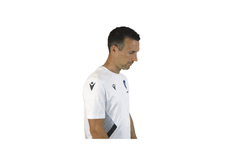 Soccer Bundesliga Sticker by Karlsruher SC