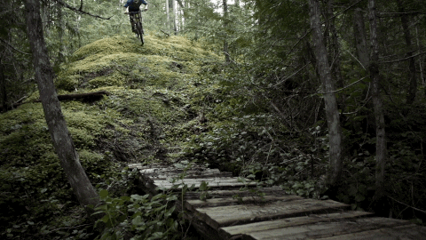 builder GIF by EchoBoom Sports