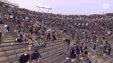 Notre Dame Nd Football GIF by Notre Dame Fighting Irish