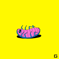 for real eat bugs dude GIF by Animation Domination High-Def