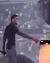 Mog GIF by Respective