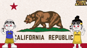 American Flag California GIF by Zhotcita
