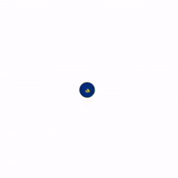World Cup Football GIF by Panini America