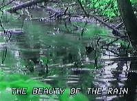 glitchedmemories  GIF