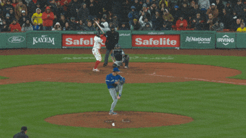 Blue Jays Baseball GIF by Toronto Blue Jays