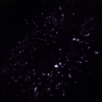 grape soda gif artist GIF by Erica Anderson