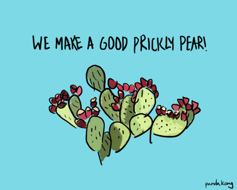 PandaKongArt giphyupload giphycreatortest cactus pun GIF