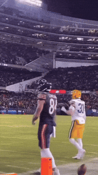 Celebrate Green Bay GIF
