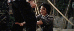 martial arts mom GIF by Shaw Brothers