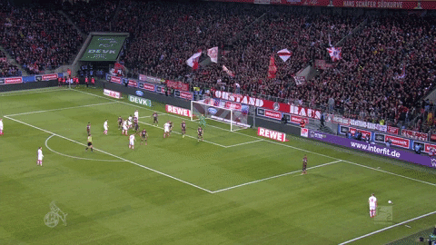jhon cordoba soccer GIF by 1. FC Köln