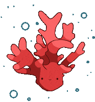 ellyzhn coral koralle ellyzhn Sticker