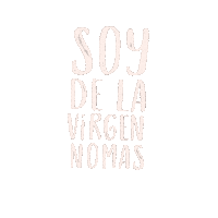 yesusbenitez virgen lujan peregrinacion yesusbenitez Sticker