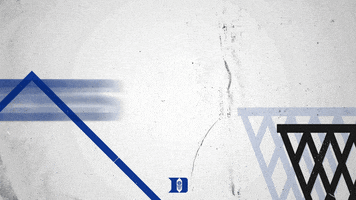 let's go duke GIF by Duke Men's Basketball