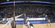 ncaasports ncaa volleyball pittsburgh panthers GIF