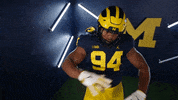 Go Blue College Football GIF by Michigan Athletics