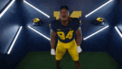 Go Blue College Football GIF by Michigan Athletics