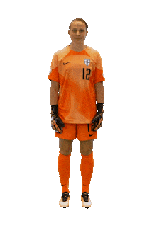 National Team Football Sticker by Suomen jalkapallo- ja futsalmaajoukkueet