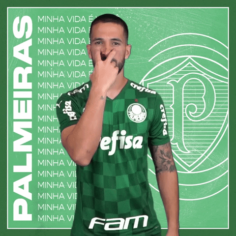 Soccer Futebol GIF by SE Palmeiras