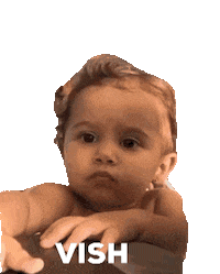 Vish Sticker