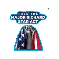 Congress Senate Sticker by Pass the Act