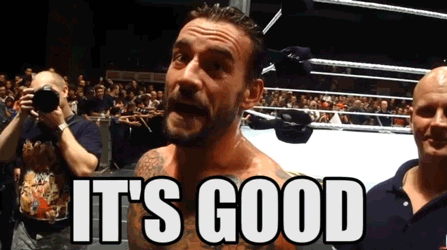 Celebrity gif. CM Punk stands near a wrestling ring and makes an OK sign with his fingers before pointing to us. Text, "It's good."