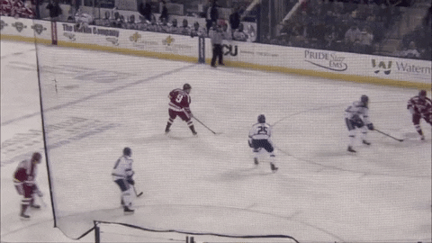 hockeyhighlights giphyupload GIF