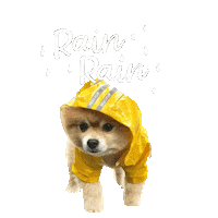 dog rain Sticker by MISO PUP