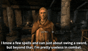 Elder Scrolls Npc GIF by Fire Mountain Productions