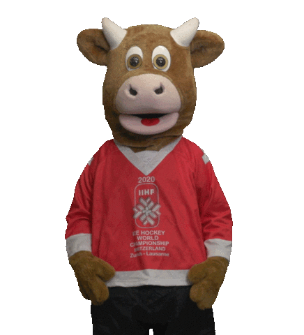 2020iihfworlds giphyupload no wtf goal Sticker