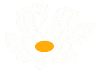 Flower Virag Sticker