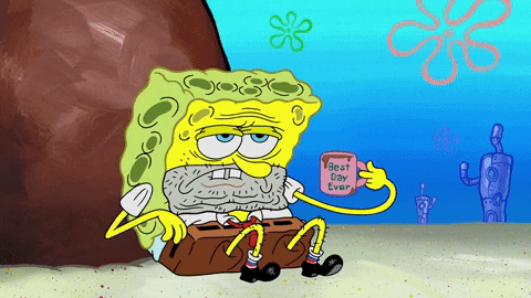 season 9 GIF by SpongeBob SquarePants