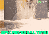 ZyptoPower meme crypto pump bullish GIF