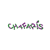 Chafaris chafarís chafaríscompostela Sticker