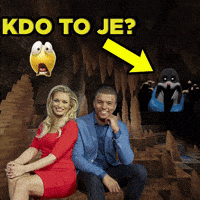 Who Is That GIF
